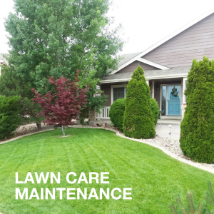 Lawn-Care-Maintenance